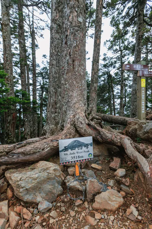 玉山前五峰 縮圖 6
