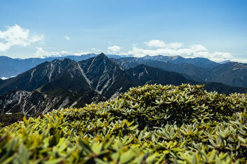 南湖大山 縮圖 8
