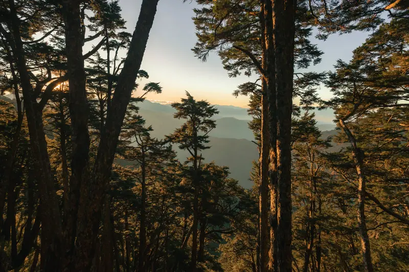 白姑大山 縮圖 1